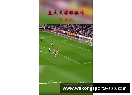 球场华章：探寻球员们的风采