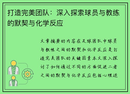 打造完美团队：深入探索球员与教练的默契与化学反应